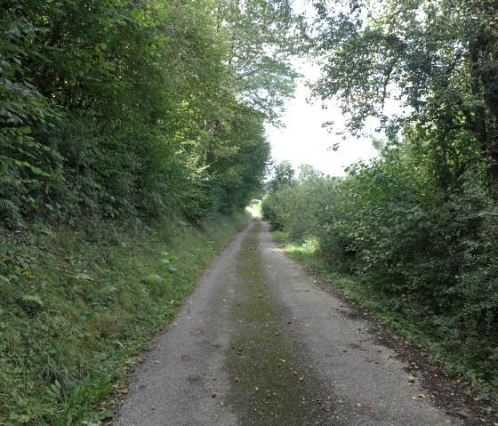 ramborn-2_1, © Nicole Zimmer ramborn-2_1, © Nicole Zimmer