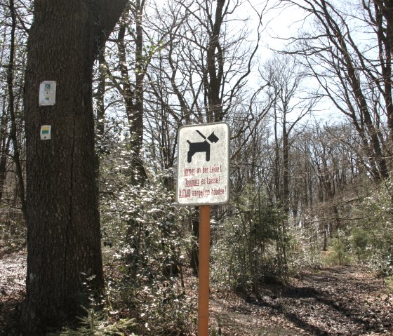 De Eifelsteig leidt naar de Hoge Venen in België, © Eifel Tourismus De Eifelsteig leidt naar de Hoge Venen in België, © Eifel Tourismus