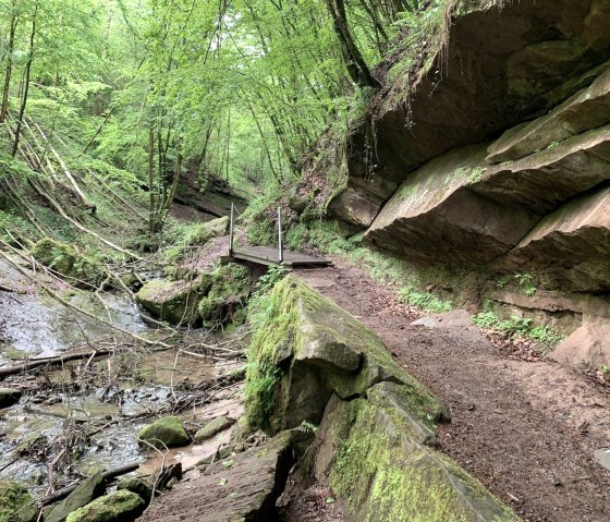 Felsformation, © Deutsch-Luxemburgische Tourist-Information Felsformation, © Deutsch-Luxemburgische Tourist-Information