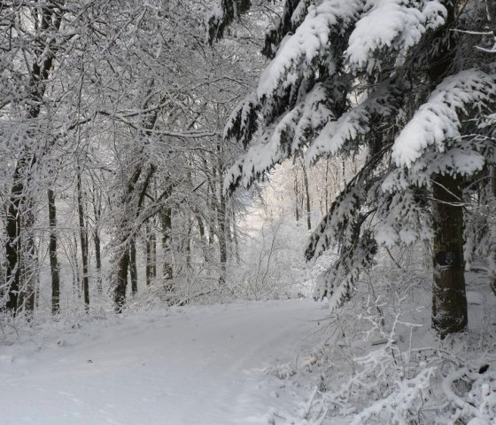 01.01.2011 003 01.01.2011 003