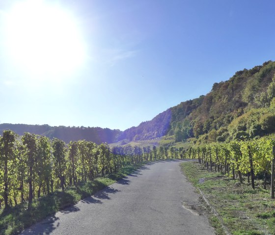 © Deutsch-Luxemburgische Tourist-Info © Deutsch-Luxemburgische Tourist-Info