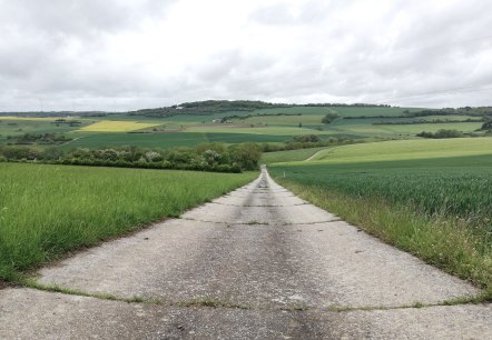 field path Fusenich, © Nicole Zimmer field path Fusenich, © Nicole Zimmer