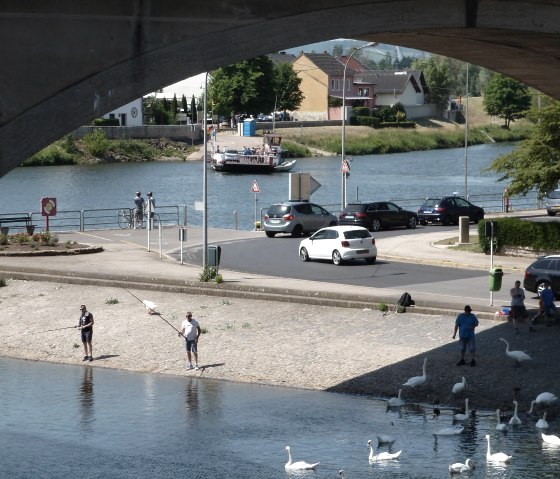 Sauer, © Deutsch-Luxemburgische Tourist-Information Sauer, © Deutsch-Luxemburgische Tourist-Information