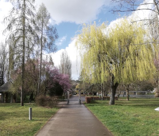 Sauerradweg4n, © Nicole Zimmer Sauerradweg4n, © Nicole Zimmer