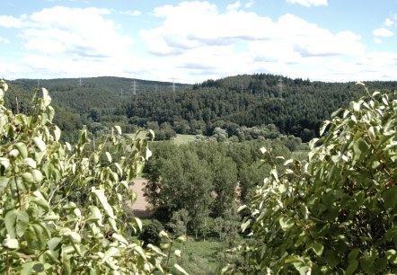 Butzerbachvalley - Forest, © Deutsch Luxemburgische Tourist Info Butzerbachvalley - Forest, © Deutsch Luxemburgische Tourist Info
