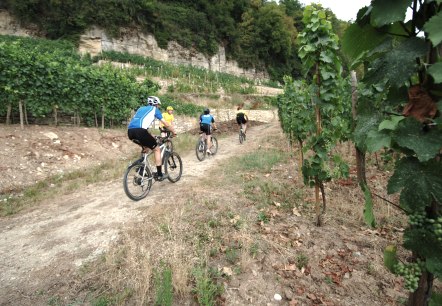 Mountain Bike, © Carlo Rinnen, ORTM, LFT Mountain Bike, © Carlo Rinnen, ORTM, LFT