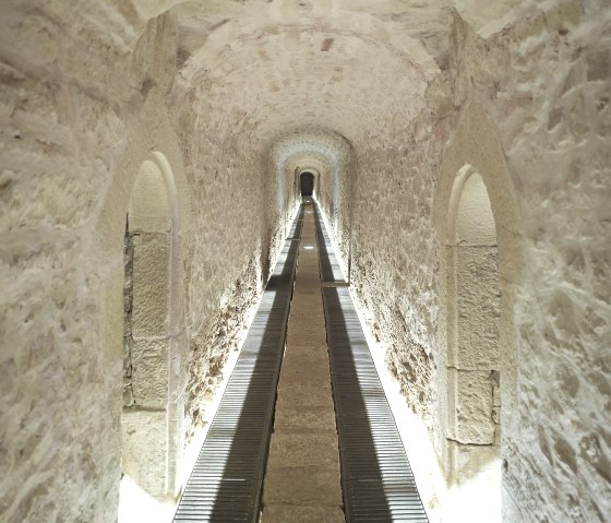 Musée Dräi Eechelen, © MNHA Tom Lucas Musée Dräi Eechelen, © MNHA Tom Lucas