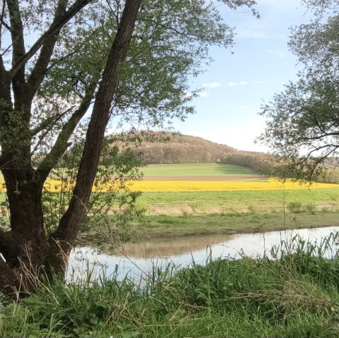 Radweg Ralingen©AH, © Deutsch-Luxemburgische Tourist-Information Radweg Ralingen©AH, © Deutsch-Luxemburgische Tourist-Information