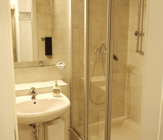 20-20180109-Bad-P1060047, © Erasme 20-20180109-Bad-P1060047, © Erasme