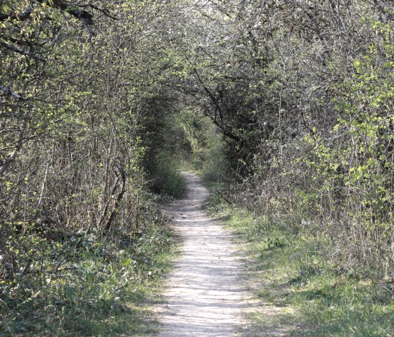 Natur 2, © Geissler Natur 2, © Geissler