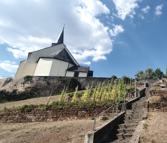 Igel, © Nicole Zimmer Igel, © Nicole Zimmer