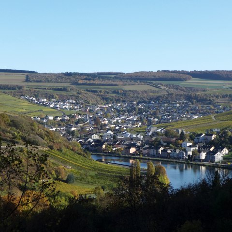 Grevenmacher Weinberg Grevenmacher Weinberg