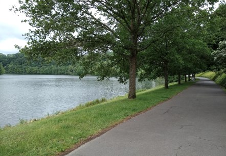 Asphaltierter Weg am Stausee Bitburg, gesäumt von Bäumen und grünem Gras, mit Blick auf das Wasser., © Naturpark Südeifel Asphaltierter Weg am Stausee Bitburg, gesäumt von Bäumen und grünem Gras, mit Blick auf das Wasser., © Naturpark Südeifel