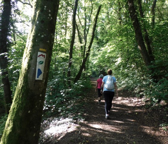 Auto-pédestre Rosport, © Deutsch-Luxemburgische Tourist Information Auto-pédestre Rosport, © Deutsch-Luxemburgische Tourist Information