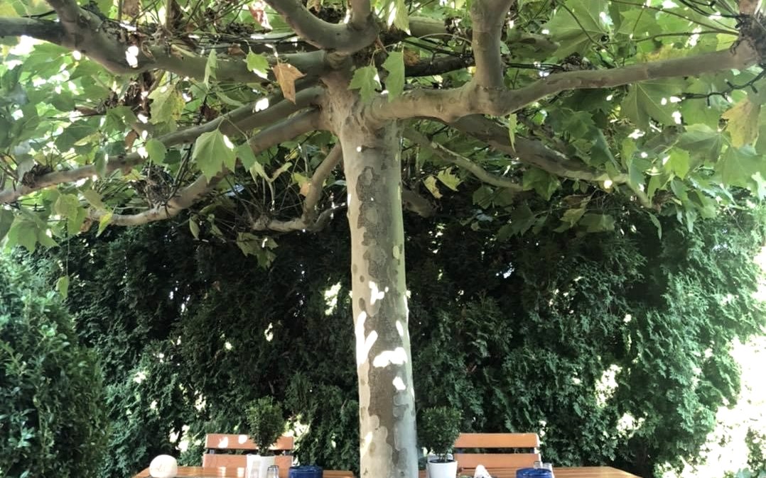 Sonnen 4, © Sonnen Sonnen 4, © Sonnen