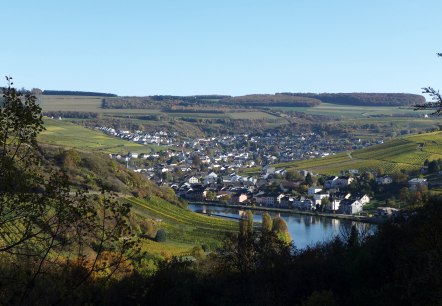 Grevenmacher Weinberg Grevenmacher Weinberg