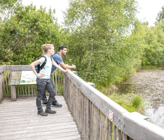 Zwei Personen stehen auf einer Holzplattform, umgeben von dichtem Grün. Ein Schild ist auf der Plattform angebracht., © Eifel Tourismus GmbH, AR-shapefruit AG Zwei Personen stehen auf einer Holzplattform, umgeben von dichtem Grün. Ein Schild ist auf der Plattform angebracht., © Eifel Tourismus GmbH, AR-shapefruit AG