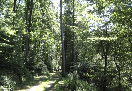 Aach, © Deutsch-Luxemburgische Tourist-Information Aach, © Deutsch-Luxemburgische Tourist-Information