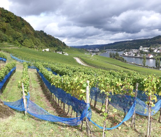 Grevenmacher, © Deutsch Luxemburgisches Tourist Info Grevenmacher, © Deutsch Luxemburgisches Tourist Info