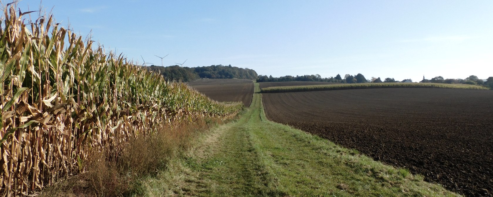 Trierweiler, © Deutsch Luxemburgische Tourist Info Trierweiler, © Deutsch Luxemburgische Tourist Info