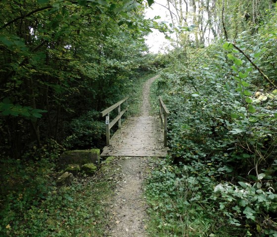 Hérisson 5, © Nicole Zimmer Hérisson 5, © Nicole Zimmer