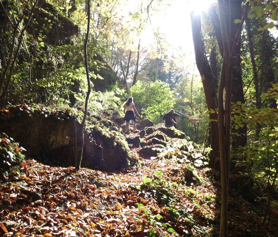 p1070787, © Nicole Zimmer p1070787, © Nicole Zimmer