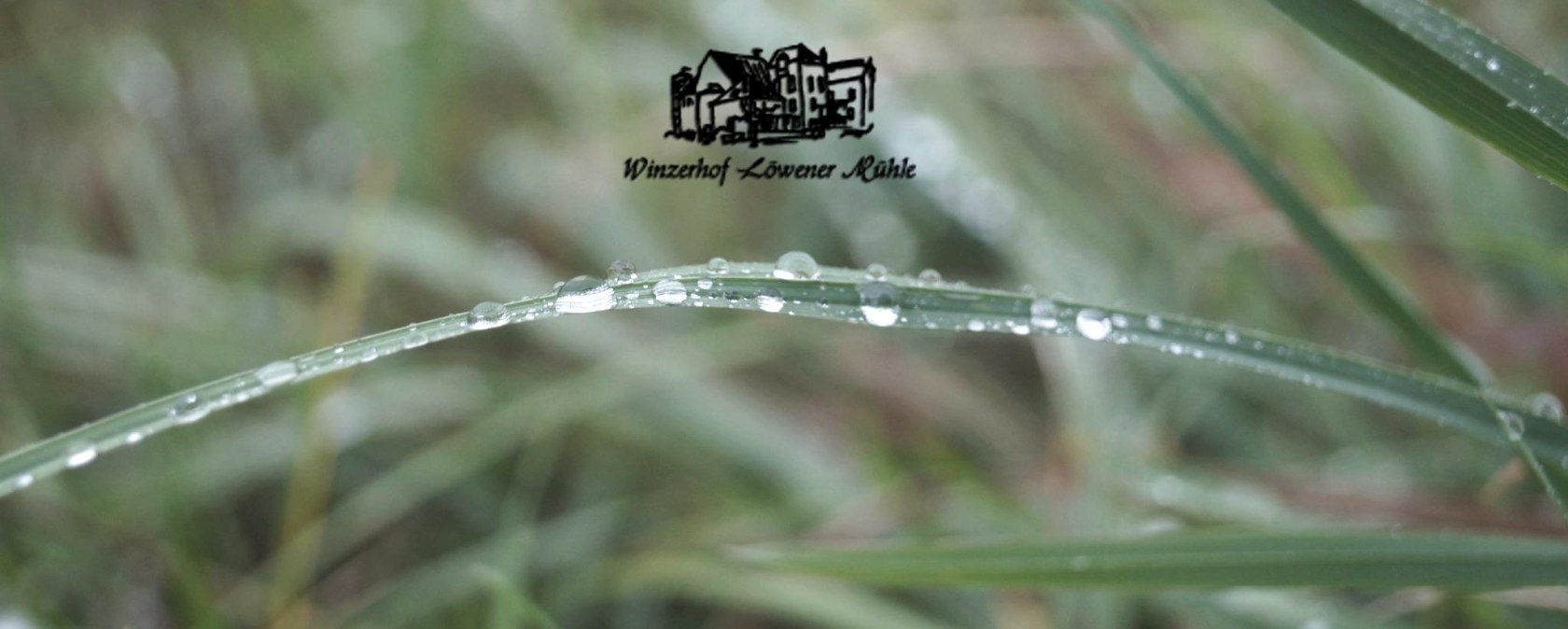 Winzerin trifft Käserin, © Vinofactur Löwener Mühle Winzerin trifft Käserin, © Vinofactur Löwener Mühle