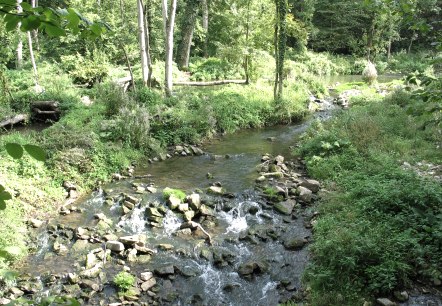 Wiewesch, © Deutsch Luxemburgische Tourist Info Wiewesch, © Deutsch Luxemburgische Tourist Info