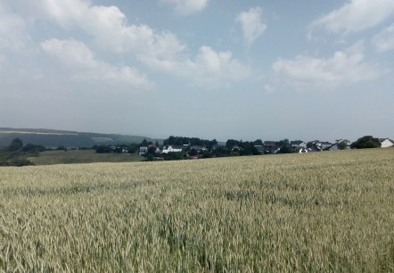 Aussicht, © Claudia Krütten Aussicht, © Claudia Krütten