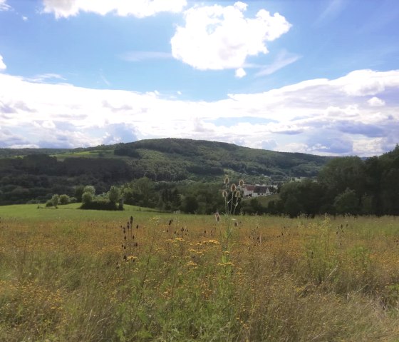 Ralingen 69, © Reinhold Hansen Ralingen 69, © Reinhold Hansen