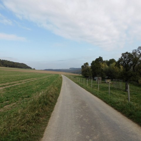 Möhn, © Nicole Zimmer Möhn, © Nicole Zimmer