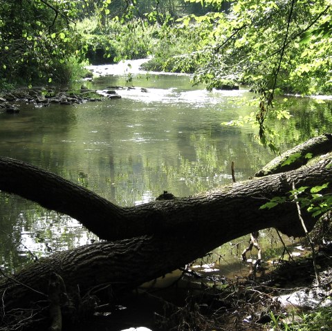 115_1503, © a wiewesch 115_1503, © a wiewesch