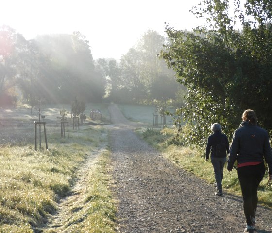 Trierweiler, © Deutsch Luxemburgische Tourist Info Trierweiler, © Deutsch Luxemburgische Tourist Info