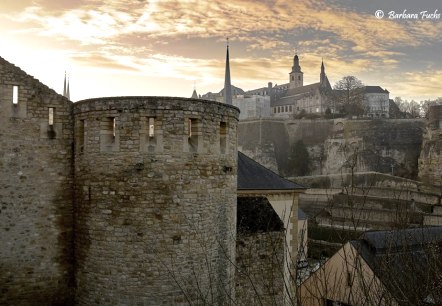 Wenzel, © Barbara Fuchs Wenzel, © Barbara Fuchs