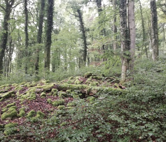 img_20210911_095326, © Deutsch-Luxemburgische Tourist-Information img_20210911_095326, © Deutsch-Luxemburgische Tourist-Information