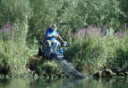 Fescher, © Marco Kaysen Fescher, © Marco Kaysen