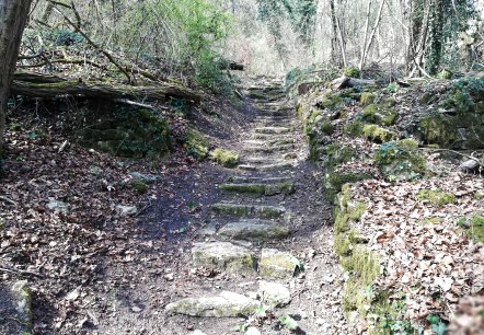 Wanderweg Moersdorf, © Deutsch-Luxemburgische Tourist-Information Wanderweg Moersdorf, © Deutsch-Luxemburgische Tourist-Information
