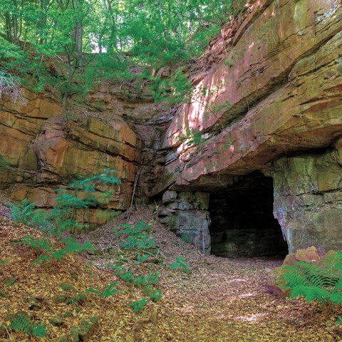 Eingang einer Höhle in einer Buntsandsteinformation, umgeben von grüner Vegetation und Laub am Boden., © Naturpark Südeifel, Charly Schleder Eingang einer Höhle in einer Buntsandsteinformation, umgeben von grüner Vegetation und Laub am Boden., © Naturpark Südeifel, Charly Schleder