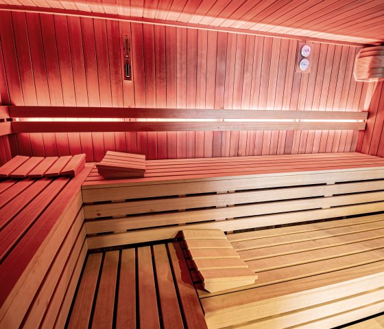 sauna_009 sauna_009