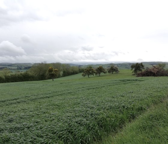 Schilzenburg 12, © Nicole Zimmer Schilzenburg 12, © Nicole Zimmer