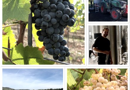 Fürst, © Fürst Fürst, © Fürst