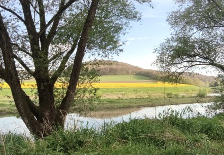 Radweg Ralingen©AH, © Deutsch-Luxemburgische Tourist-Information Radweg Ralingen©AH, © Deutsch-Luxemburgische Tourist-Information