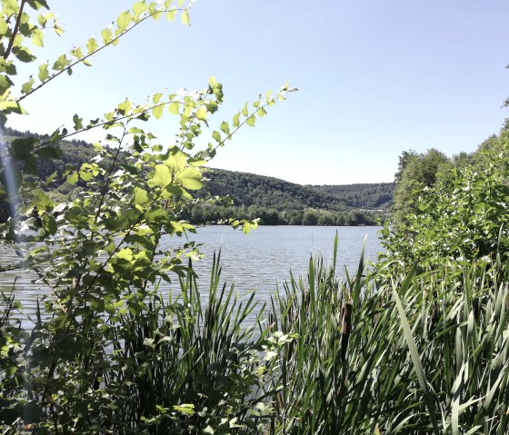 echternacher-see-nicole-zimmer16, © nicole zimmer echternacher-see-nicole-zimmer16, © nicole zimmer