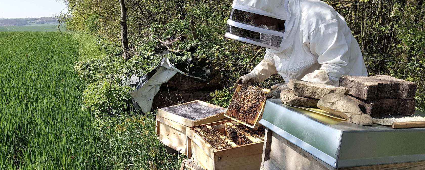 Imker, © Anne Hilker Imker, © Anne Hilker