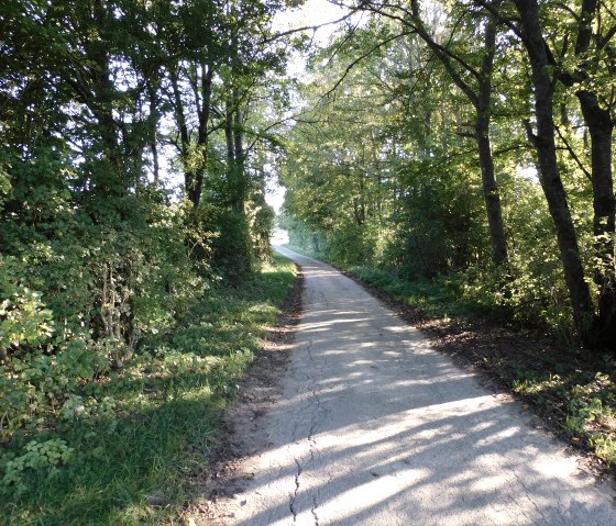 Trierweiler, © Deutsch-Luxembourg Tourist-Information Trierweiler, © Deutsch-Luxembourg Tourist-Information