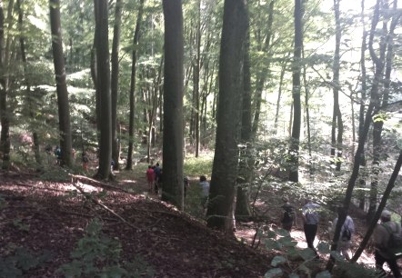 wanderweg-igel-4, © Deutsch Luxemburgische Tourist Information wanderweg-igel-4, © Deutsch Luxemburgische Tourist Information