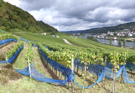 Grevenmacher, © Deutsch Luxemburgisches Tourist Info Grevenmacher, © Deutsch Luxemburgisches Tourist Info