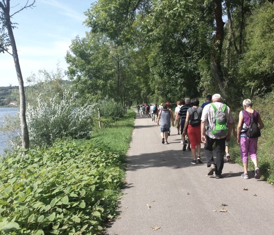 igel-2017-4, © Deutsch Luxemburgische Tourist Information igel-2017-4, © Deutsch Luxemburgische Tourist Information