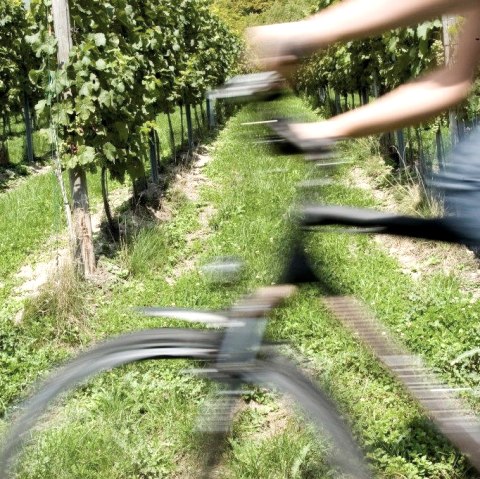 Radfahrer 2, © Schlösser aus Irrel Radfahrer 2, © Schlösser aus Irrel