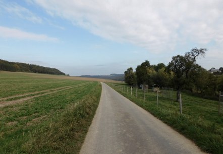 Moehn, © Nicole Zimmer Moehn, © Nicole Zimmer